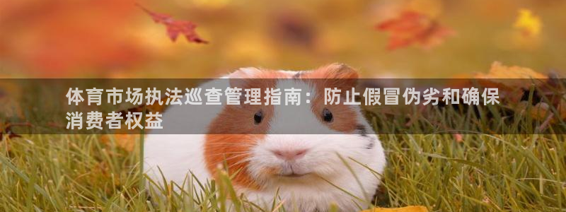 必一体育：体育市场执