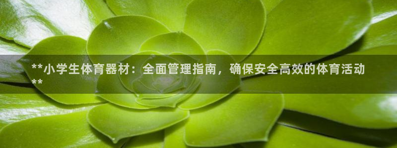 必一体育全站在线登录