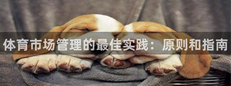 必一体育在线登陆：体