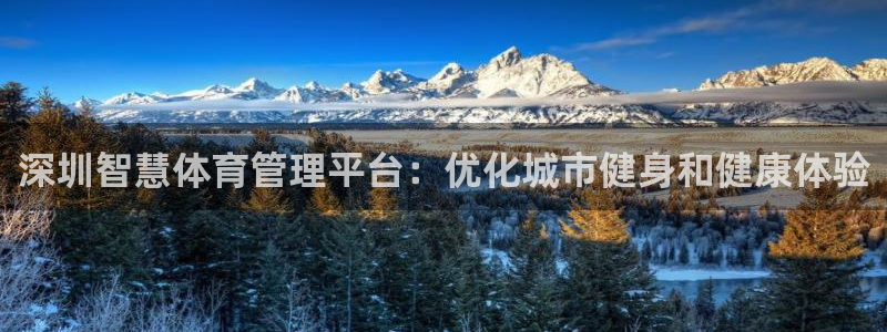 必一体育在线下载：深