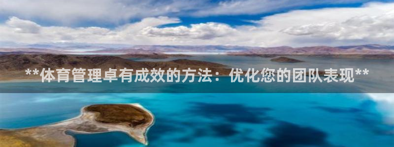 必一体育app官方网