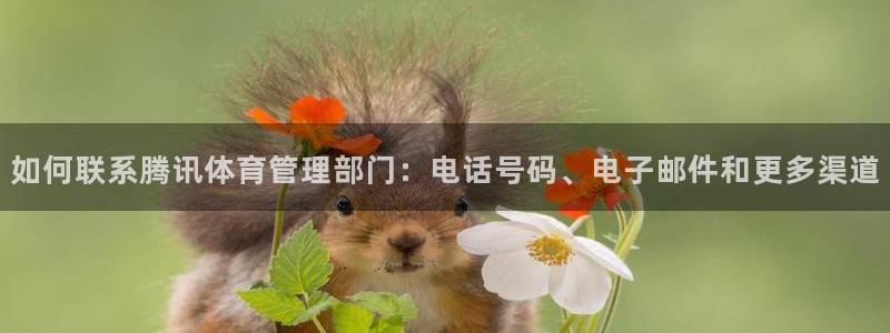 必一体育皮尔斯：如何