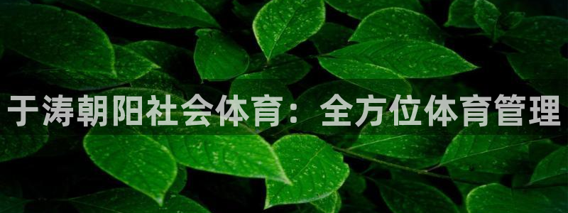 必一体育运动app下