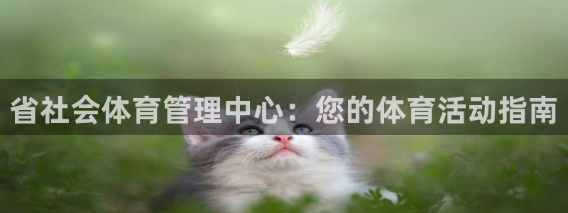 必一体育黑钱：省社会