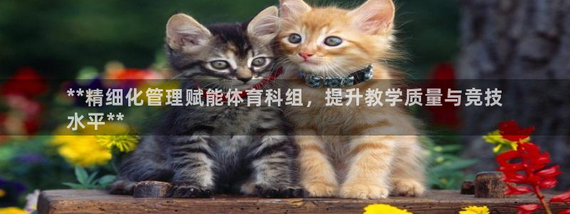 必一体育app下载最