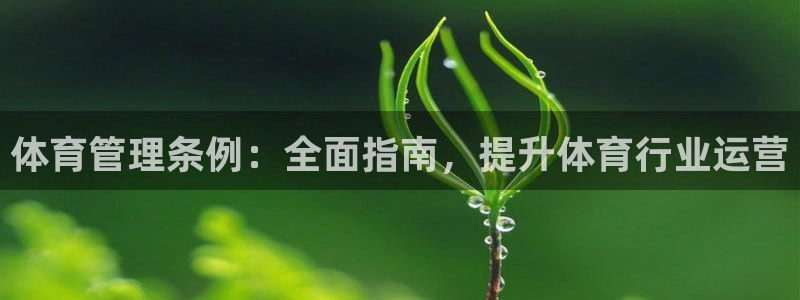 必一运动：体育管理条