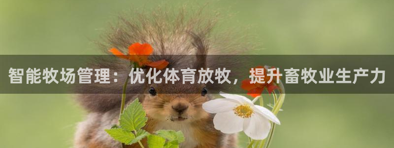 必一体育sport官