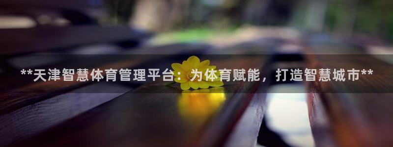 必一体育登录APP下
