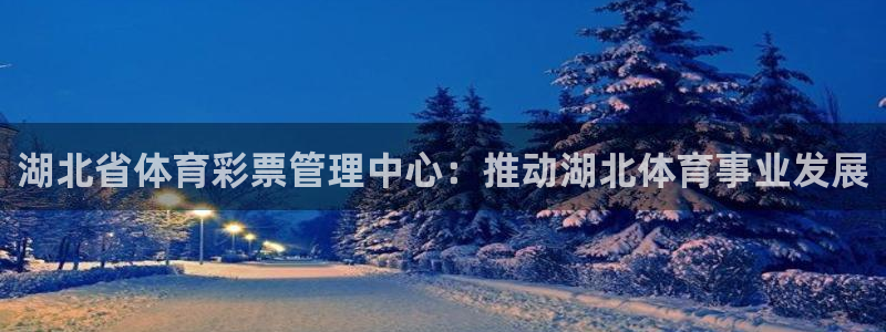 b体育必一运动网页版