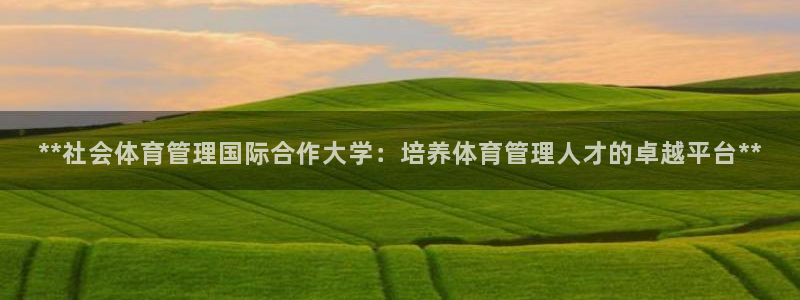 必一体育APP下载安