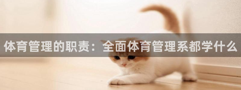 必一体育sport下