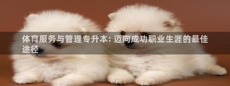 b体育官网下载入口a