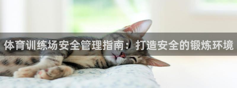 必一体育在线玩：体育