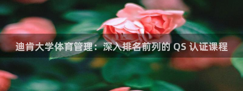 必一体育sport官