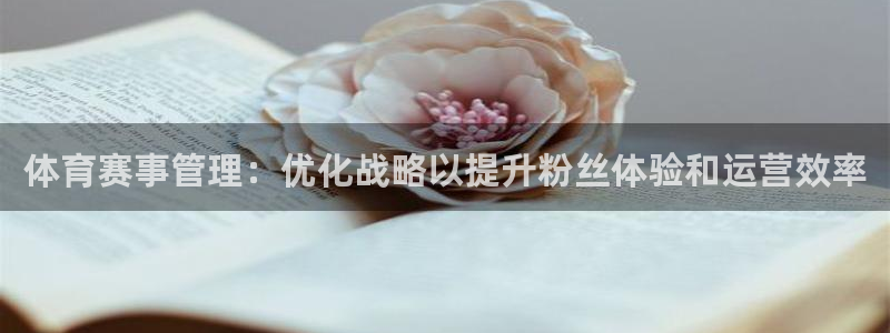 必一体育app官方网