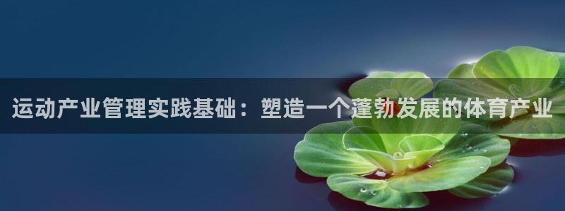 必一体育网页版登录：