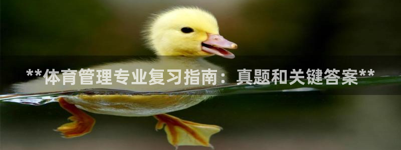 必一体育sport网