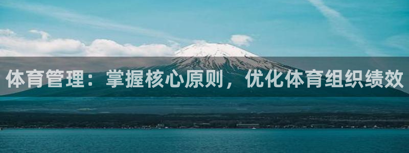 必一体育电子app：