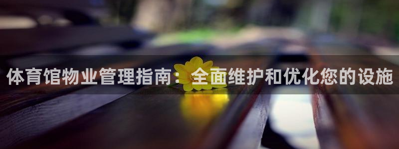 必一体育网页登录版官