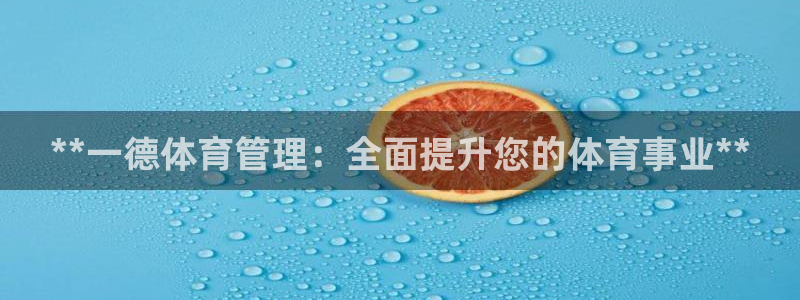 必一体育sportB