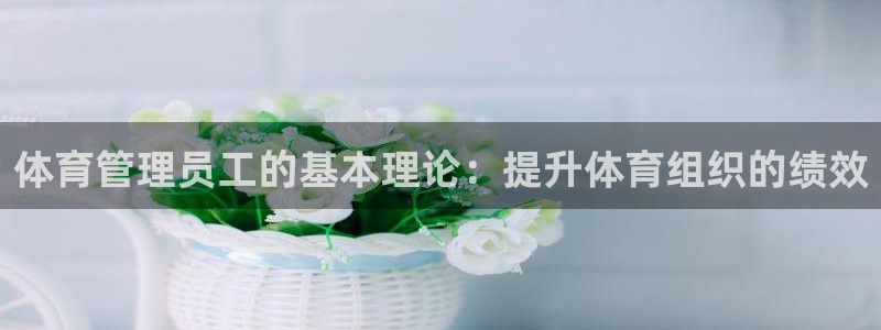必一体育流水线是什么
