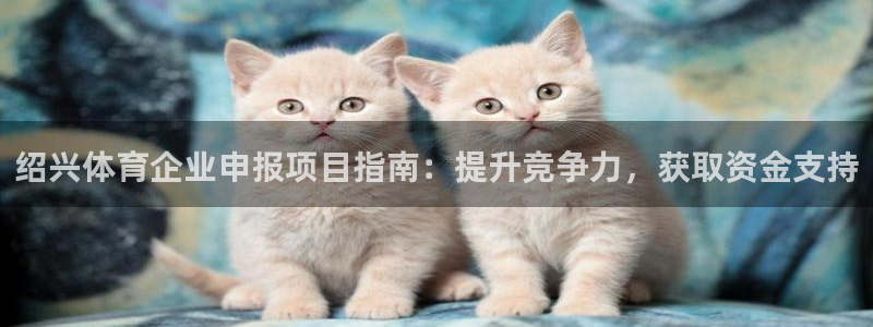 必一体育在线官网：绍