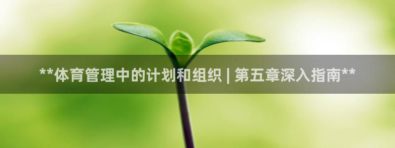 必一运动听的歌：**