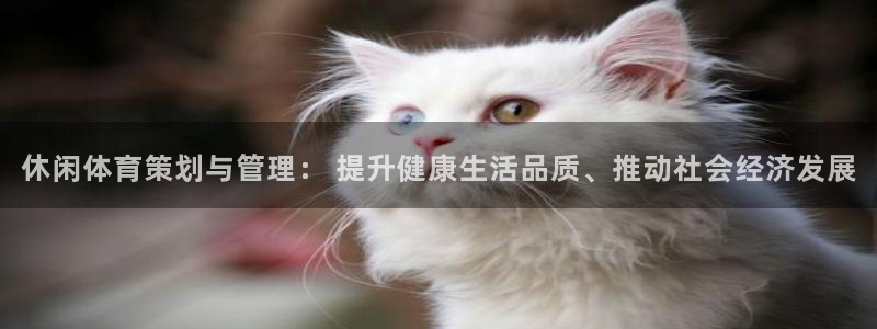 必一体育是啥：休闲体