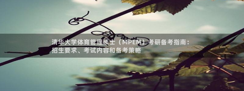 必一体育黑平台：清华