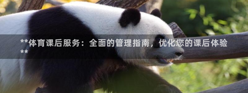 必一体育sport下