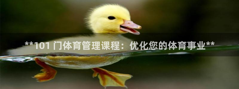 必一体育bsport