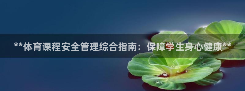必一体育bsport