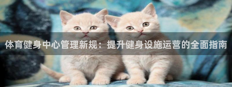 必一体育官网入口：体