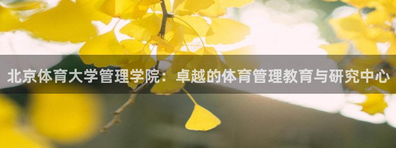 必一体育官方网站入口
