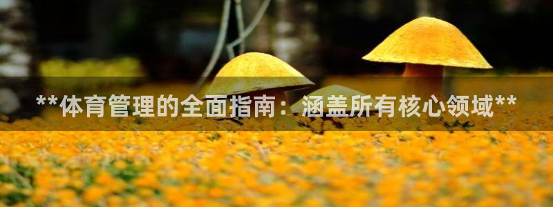 必一体育下载意思：*
