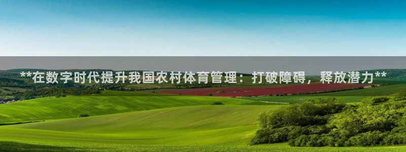 必一体育bsport