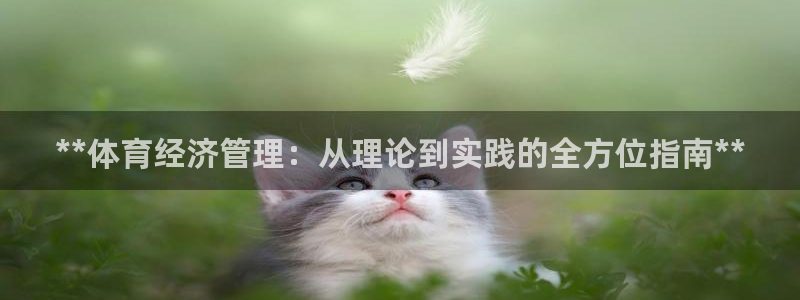 必一体育服下载最新版