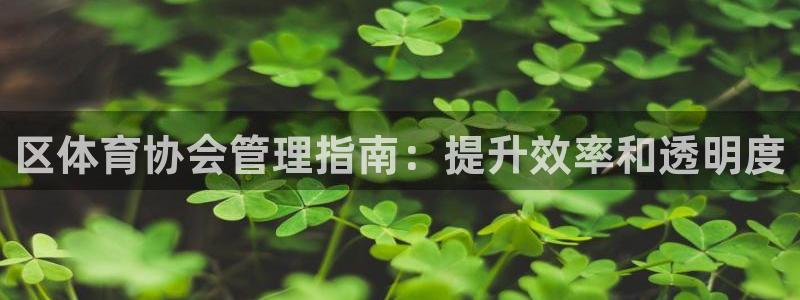 必一运动·(B-sp