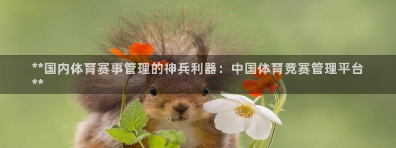 必一体育bsport