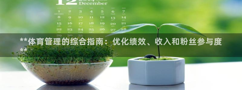 必一运动体育官网：**体育管理的综合指南：优化绩效、收入和粉