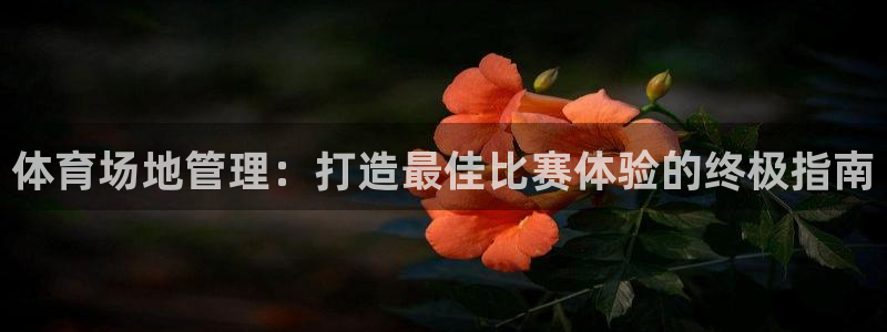 必一体育下载移动版：体育场地管理：打造最佳比赛体验的终极指南