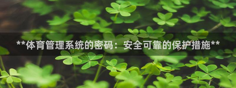 必一体育官网网站：*
