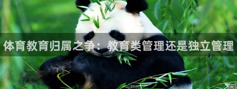 必一体育下载意思：体