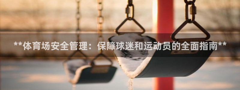 必一体育登录入口AP