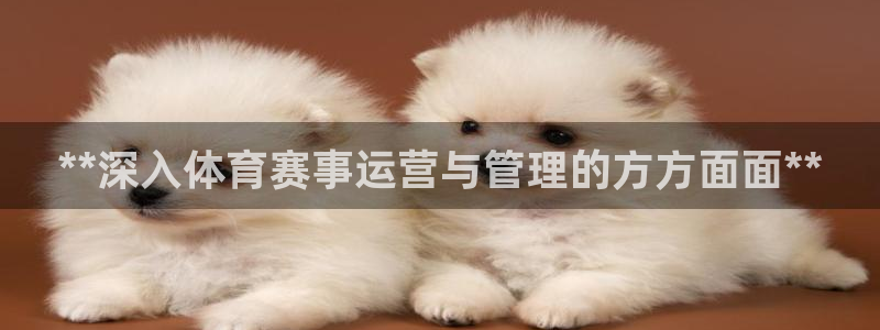 必一运动sport爱