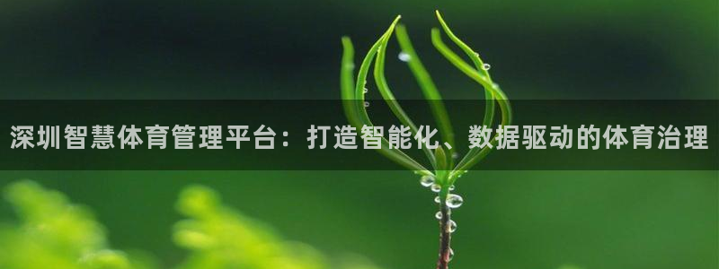必一体育官网网址：深