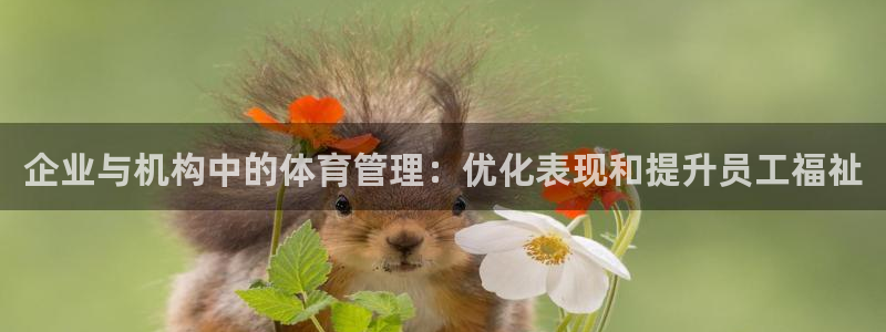 必十二和必一的副作用