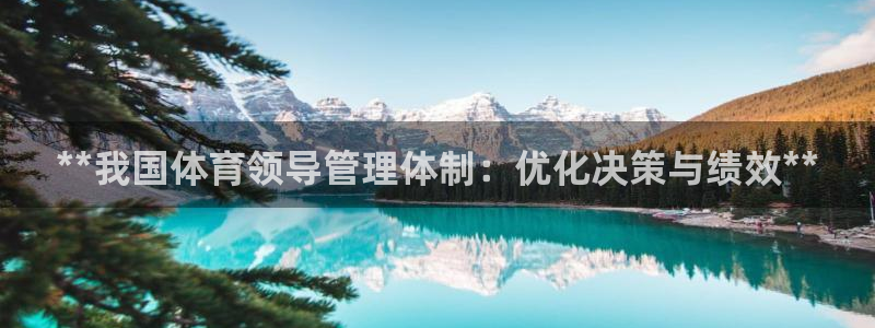 必一体育电子app：