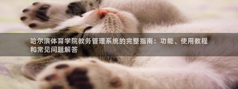 必一体育能提现大金额
