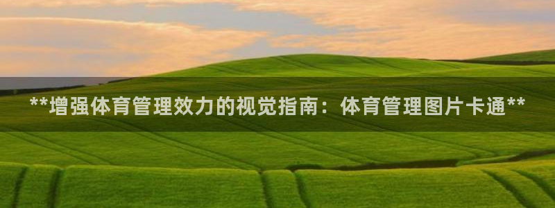 必一体育在线官网：*